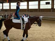 voltitag 2009 _CD1 058